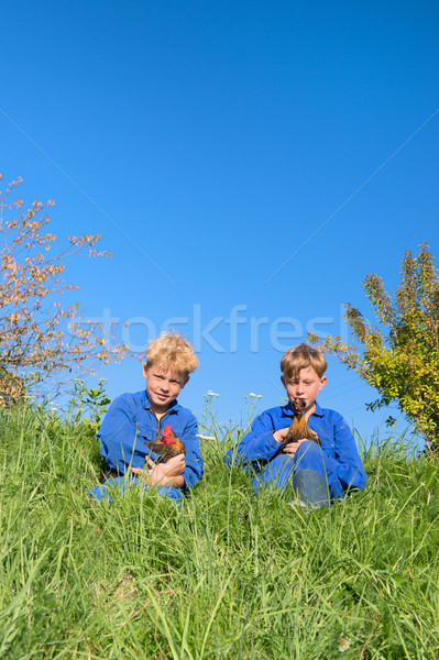 Farm Boys with chickens Stock photo © ivonnewierink