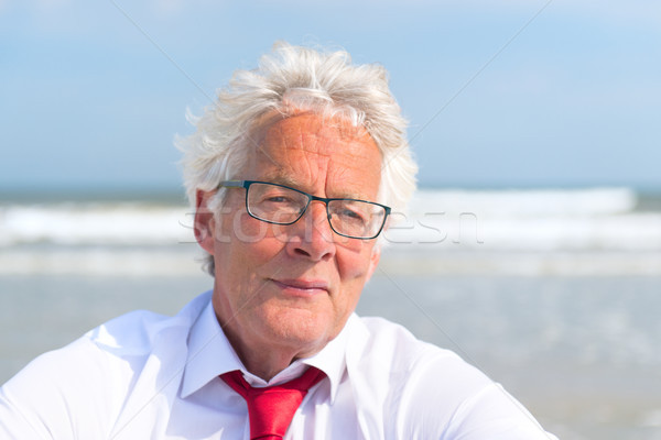 Business man at the beach Stock photo © ivonnewierink