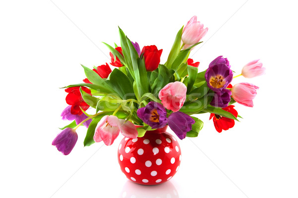 Stock foto: Farbenreich · Tulpen · rot · Vase · isoliert · weiß