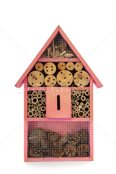 Insect hotel Stock photo © ivonnewierink