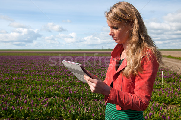 商业照片: 荷兰人 · 女孩 ·长· 头发