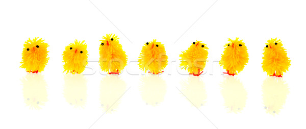 Yellow easter chicks Stock photo © ivonnewierink