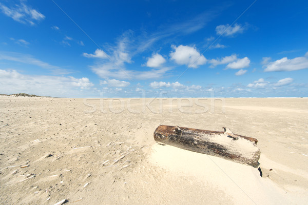 Wooden pole at the beach Stock photo © ivonnewierink