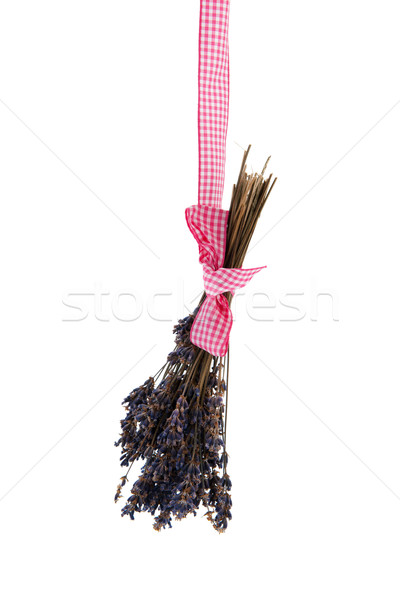 Foto stock: Francês · lavanda · saúde · branco · fita · rosa