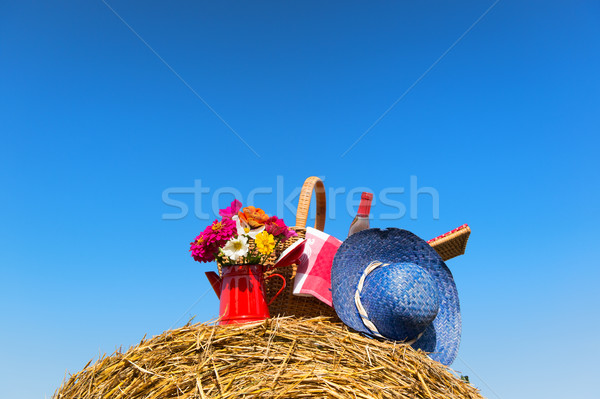 Picnic basket and summer hat in agriculture landscape Stock photo © ivonnewierink