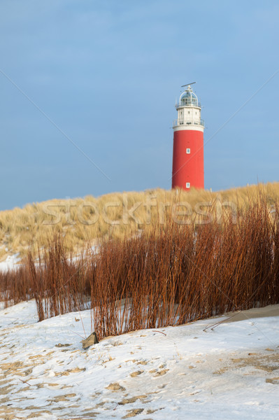 Winter at the coast Stock photo © ivonnewierink
