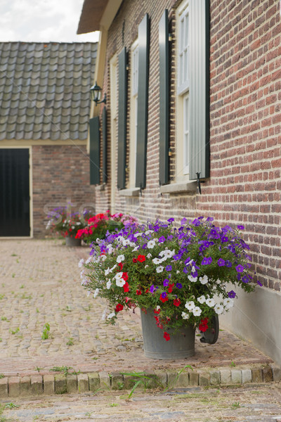 Detail Dutch farmhouse Stock photo © ivonnewierink