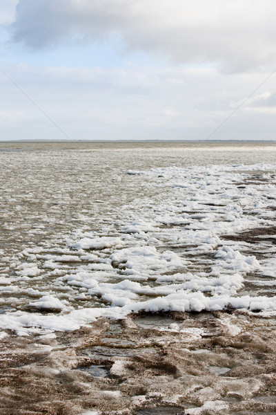Drifting ice in the sea Stock photo © ivonnewierink