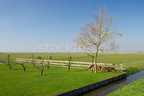 Dutch landscape on island Stock photo © ivonnewierink