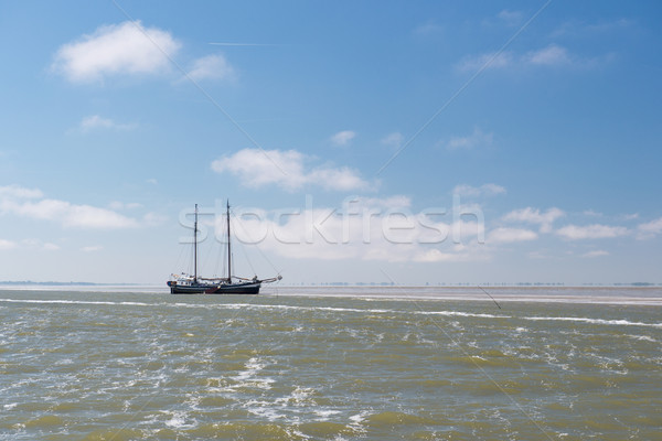 Clipper on Dutch wadden sea Stock photo © ivonnewierink