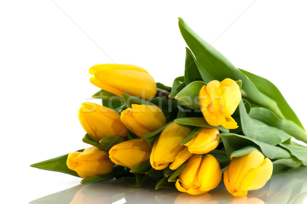 ストックフォト: 黄色 · チューリップ · 花束 · カラフル · 春 · 孤立した