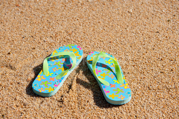 Flip flops at the beach Stock photo © ivonnewierink
