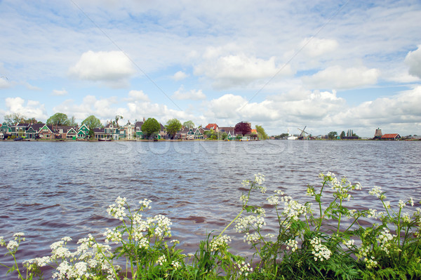 Typisch groene huizen holland houten rivier Stockfoto © ivonnewierink