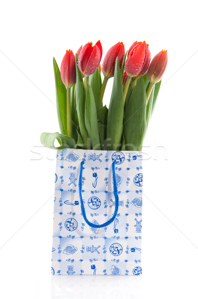 Dutch tulips Stock photo © ivonnewierink