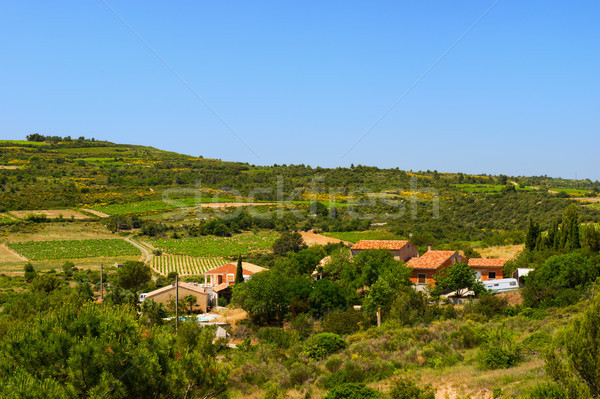 Landscape Languedoc Stock photo © ivonnewierink