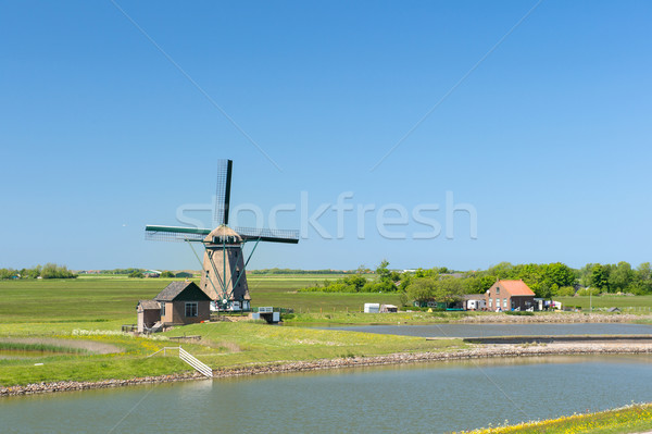 Windmill at Dutch island Texel Stock photo © ivonnewierink