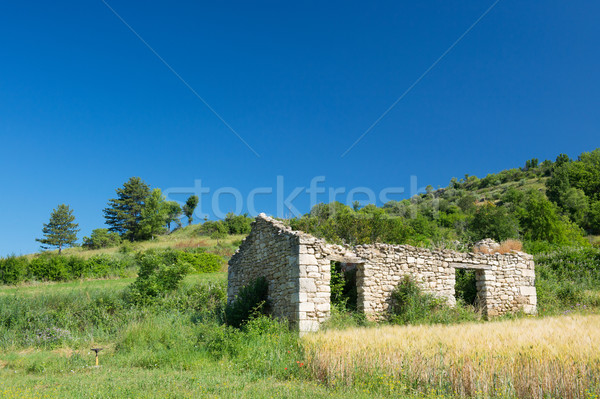 Ruin of a house in France Stock photo © ivonnewierink