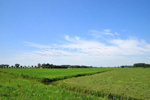 Landschaft Ackerland Bäume Wasser Stock foto © ivonnewierink