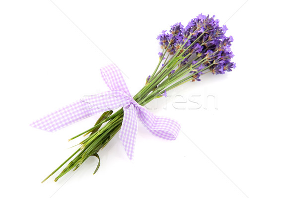 Lavender from the Provence Stock photo © ivonnewierink