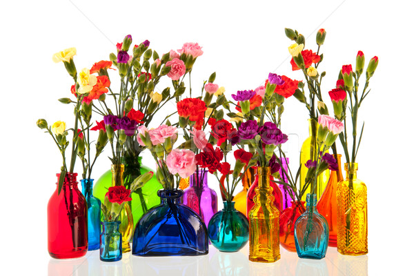 Stockfoto: Bloemen · flessen · kleurrijk · glas · zomer · Rood