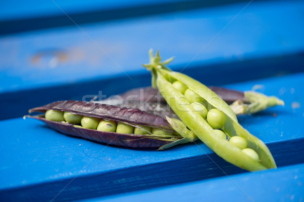 Open marrowfat and green pea in blue Stock photo © ivonnewierink
