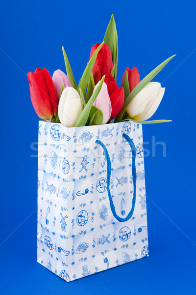 オランダ語 お土産 袋 チューリップ ショッピングバッグ 花束 ストックフォト © ivonnewierink