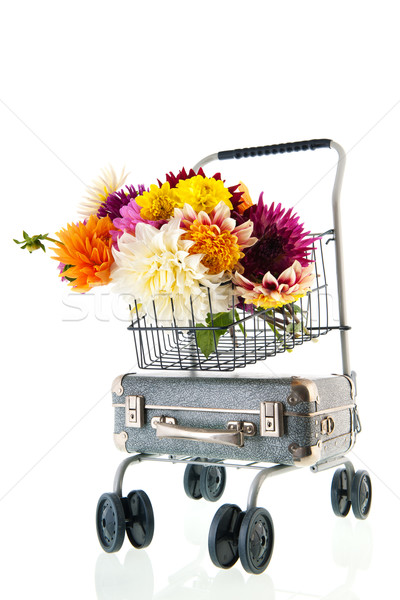 Stock foto: Bouquet · Jahrgang · Koffer · isoliert · weiß · Blumen