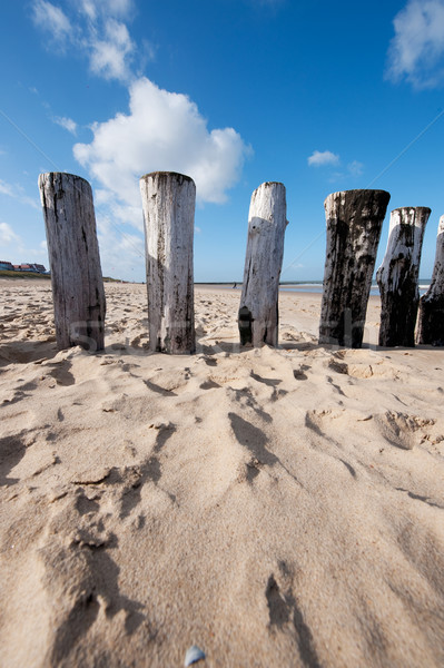 Tengerpart fából készült hullám holland tájkép homok Stock fotó © ivonnewierink