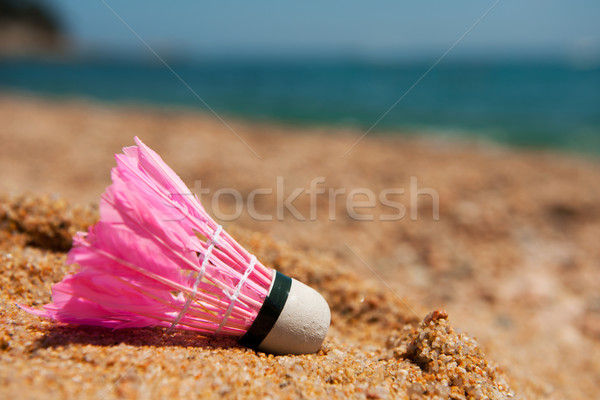 Rózsaszín tollaslabda tollak tengerpart sport tenger Stock fotó © ivonnewierink