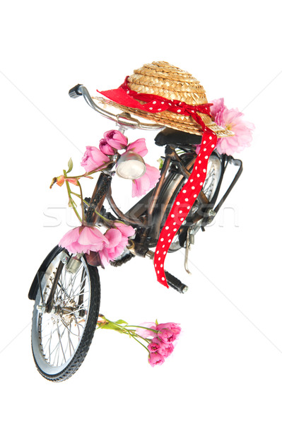 Female bike in the summer Stock photo © ivonnewierink