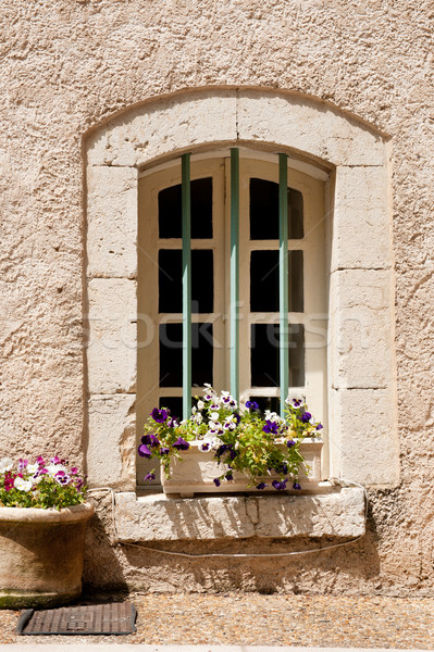 Stockfoto: Frans · venster · detail · huis · bloem · zomer