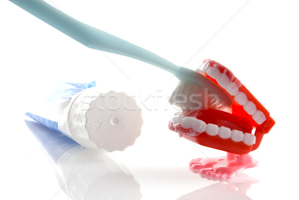 Tooth-brushing Stock photo © ivonnewierink