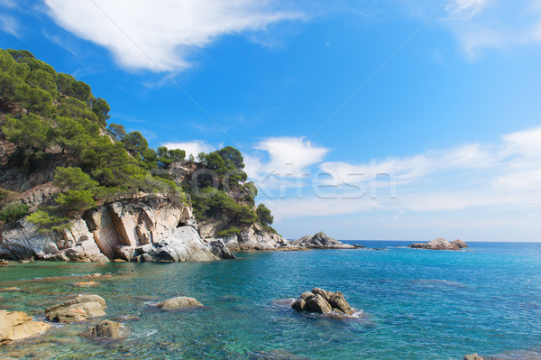 Coast Costa Brava in Spain Stock photo © ivonnewierink