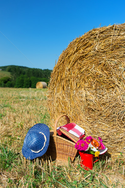 Picnic basket and summer hat in agriculture landscape Stock photo © ivonnewierink