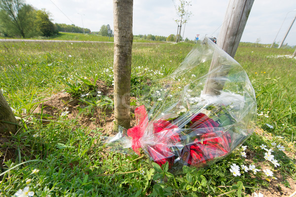 Verkeer ongeval bloemen weg gras rozen Stockfoto © ivonnewierink