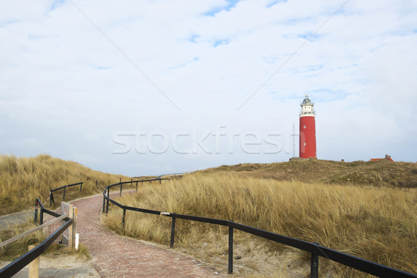 Path to lighthouses Stock photo © ivonnewierink