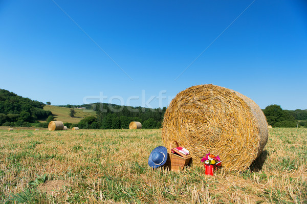 Picnic basket and summer hat in agriculture landscape Stock photo © ivonnewierink