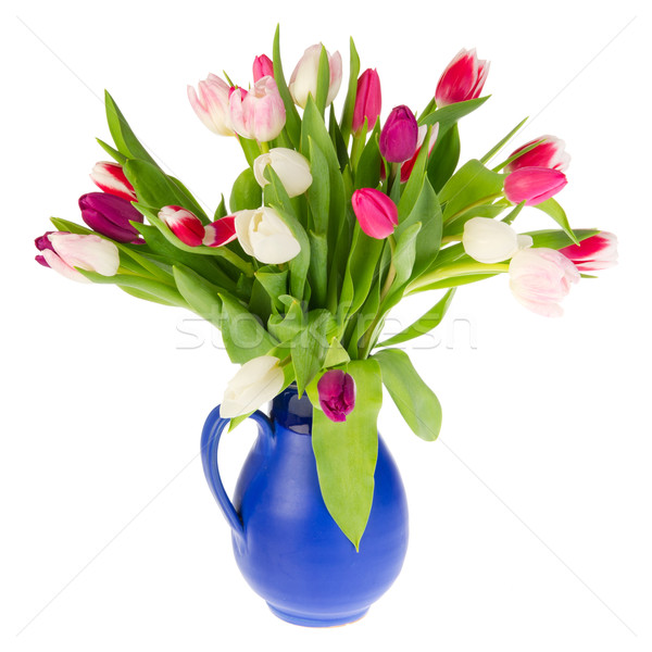 Kolorowy bukiet tulipany niebieski Wazon biały Zdjęcia stock © ivonnewierink