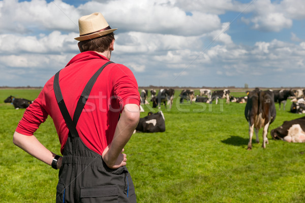 Typical Dutch landscape with farmer and cows Stock photo © ivonnewierink