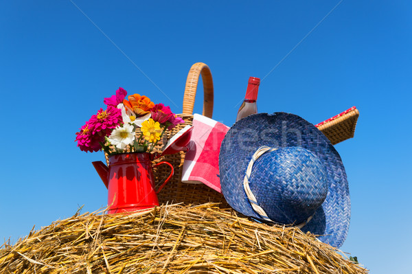Piknik sepeti yaz şapka tarım manzara buket Stok fotoğraf © ivonnewierink