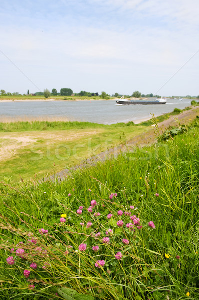 Stock photo: Dutch river landscape