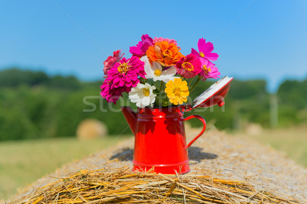 Bouquet flowers in summer Stock photo © ivonnewierink