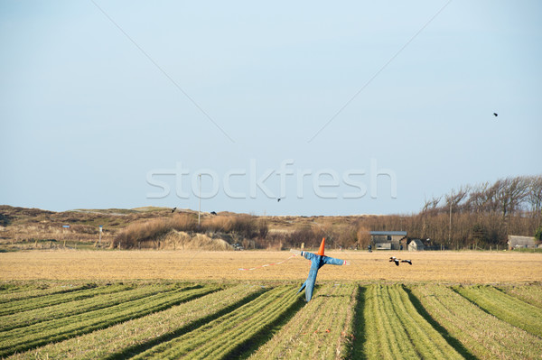 Scarecrow in agriculture field Stock photo © ivonnewierink