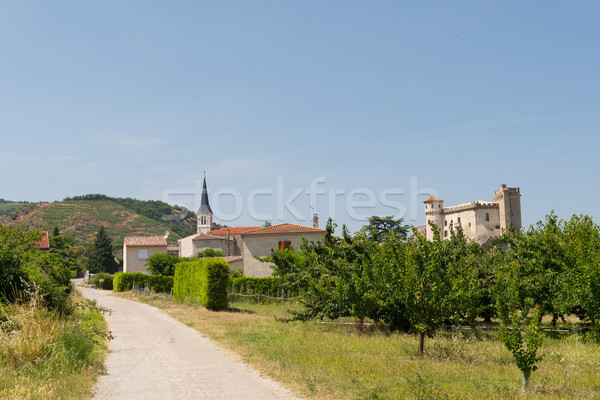 Small village in France Stock photo © ivonnewierink