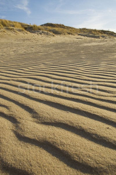Beach Stock photo © ivonnewierink