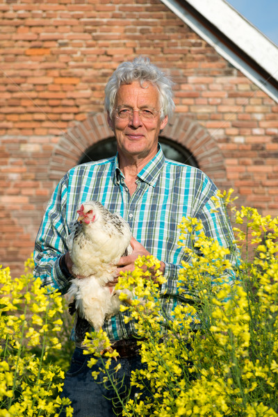 Farmer with chickens Stock photo © ivonnewierink