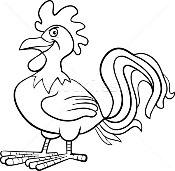 farm rooster cartoon for coloring book Stock photo © izakowski