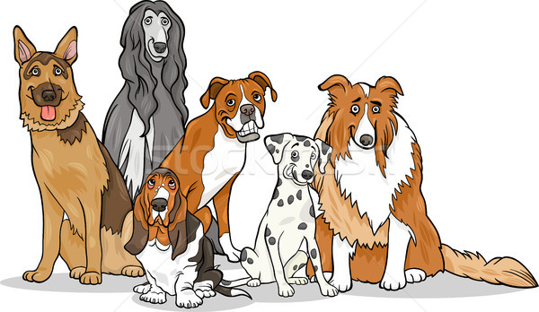 cute purebred dogs group cartoon illustration Stock photo © izakowski