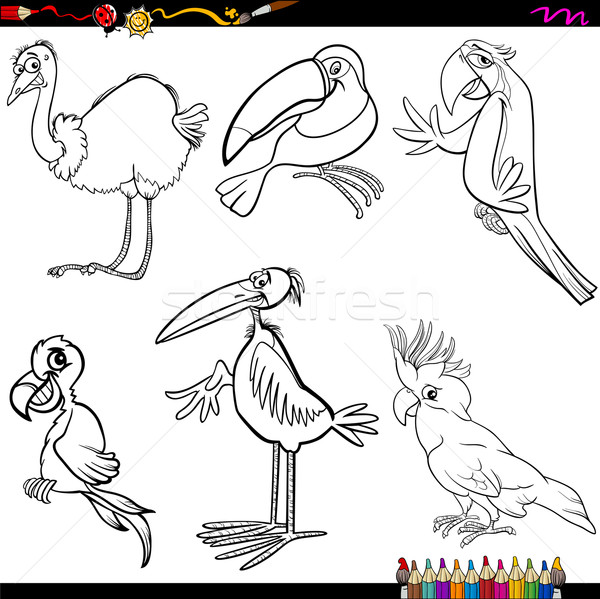 birds cartoon coloring page Stock photo © izakowski