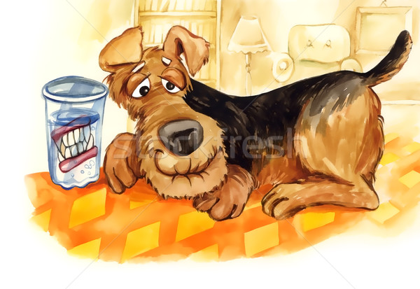 Stock photo: senior dog with teeth denture